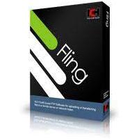 NCH Fling FTP Sync and Upload