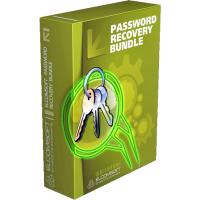 Password Recovery Bundle 2018 For Windows Lisans Anahtarı 32-64 Bit Key